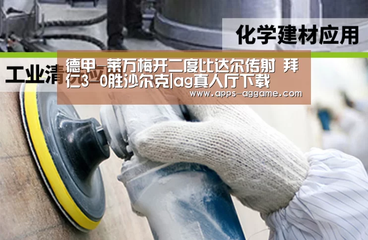 德甲-莱万梅开二度比达尔传射 拜仁3-0胜沙尔克|ag真人厅下载(图2) ag真人APP