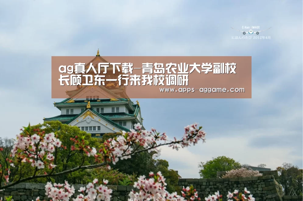 ag真人下载