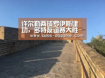 许尔勒两球罗伊斯建功,多特友谊赛大胜-ag真人APP(图1) AG电子