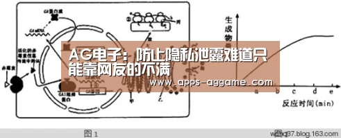 AG电子:防止隐私泄露难道只能靠网友的不满(图2) ag真人下载